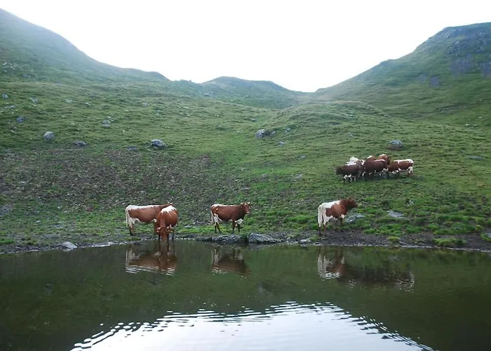 With 1 Bedroom Dom wakacyjny *