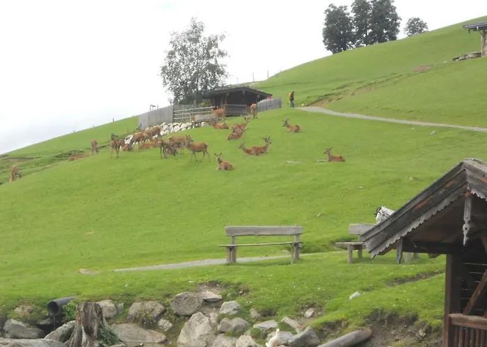 With 1 Bedroom * Mittersill